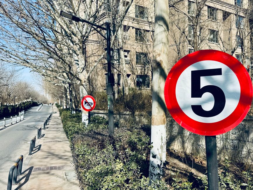 5 h